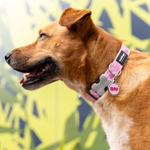 weitere Abbildung RedDingo Hundemarke mit individueller Gravur BFF pink