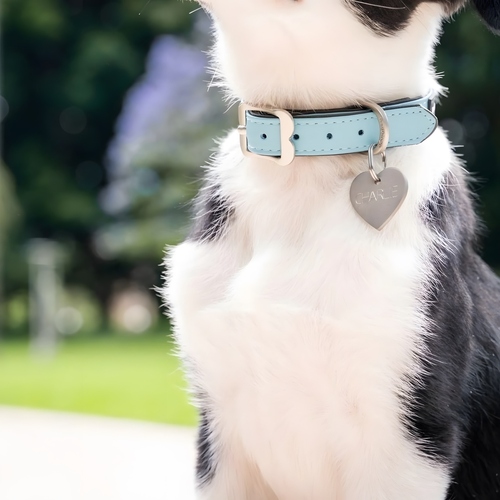 weitere Abbildung RedDingo Titan Hundemarke mit individueller Gravur Herz