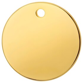 Abbildung RedDingo Titan beschichtete Hundemarke mit individueller Gravur Kreis gold