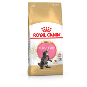 Abbildung Royal Canin Breed Maine Coon Kitten 4 kg