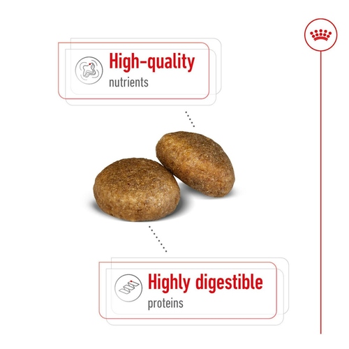 weitere Abbildung Royal Canin Maxi Adult 4 kg