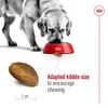 Royal Canin Maxi Adult 4 kg Abbildung 4
