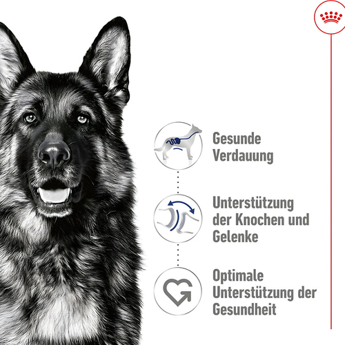 weitere Abbildung Royal Canin Maxi Adult Loaf 410 g