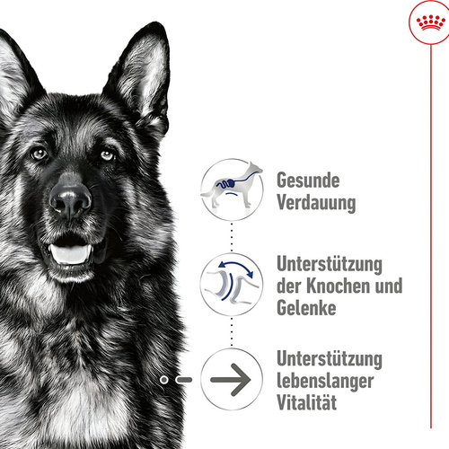 weitere Abbildung Royal Canin Maxi Ageing Loaf 410 g
