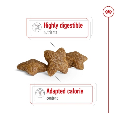 weitere Abbildung Royal Canin Mini Adult 4 kg