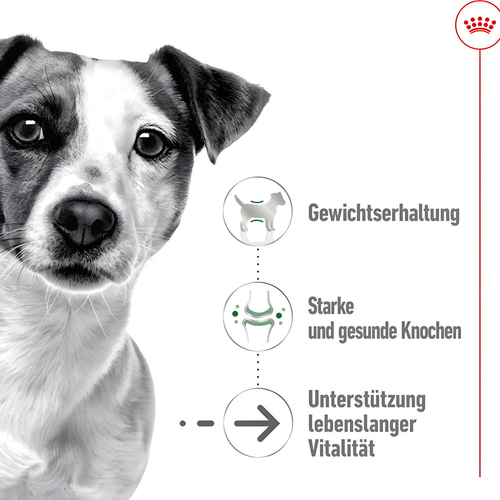 weitere Abbildung Royal Canin Mini Ageing Loaf 195 g