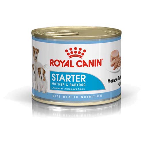 Royal Canin Starter Mousse 195 g - 12 Stück