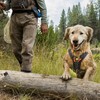 Ruffwear Brustschutz Brush Guard™ Basalt Gray Abbildung 5