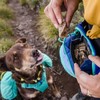 Ruffwear Hüfttasche Home Trail™ Hip Pack Heliotrope Purple Abbildung 3