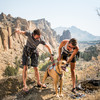 Ruffwear Hundegeschirr DoubleBack™ Harness Cloudburst Gray Abbildung 4