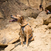 Ruffwear Hundegeschirr DoubleBack™ Harness Cloudburst Gray Abbildung 5