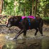 Ruffwear Hundegeschirr Flagline Harness Alpenglow Pink Abbildung 5
