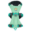 Ruffwear Hundegeschirr Flagline™ Harness Sage Green Abbildung 2