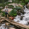 Ruffwear Hundegeschirr Front Range™ Harness Red Sumac Abbildung 3