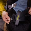 Ruffwear Hundegeschirr Load Up™ Harness Slate Blue Abbildung 5