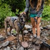 Ruffwear Hundegeschirr Switchbak™ Harness Granite Gray Abbildung 5