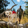 Ruffwear Hundegeschirr Web Master™ Harness Red Currant Abbildung 4