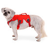 Ruffwear Hundegeschirr Web Master™ Harness Red Sumac Abbildung 3