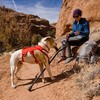 Ruffwear Hundegeschirr Web Master™ Harness Red Sumac Abbildung 5