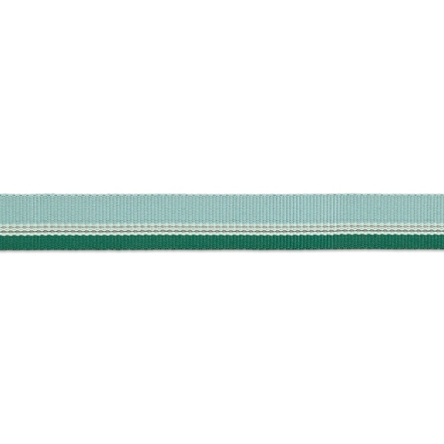 weitere Abbildung Ruffwear Hundehalsband Chain Reaction Collar River Rock Green