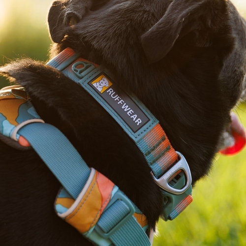 weitere Abbildung Ruffwear Hundehalsband Front Range Collar Spring Fade