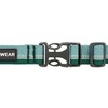 Ruffwear Hundehalsband Web Reaction™ Collar River Rock Green Abbildung 2