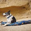 Ruffwear Hundekissen Basecamp™ Foldable Dog Bed Deep Jungle Abbildung 3