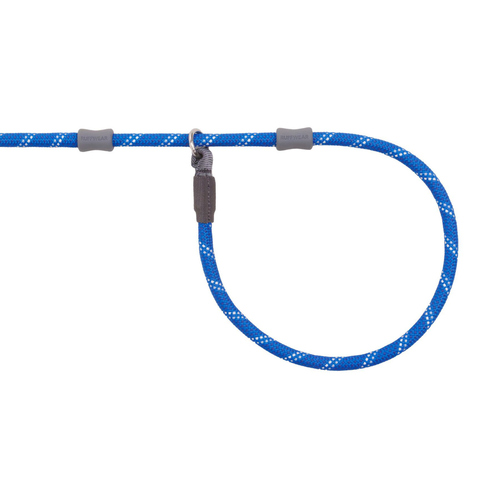 weitere Abbildung Ruffwear Hundeleine Just-a-Cinch Leash Blue Pool