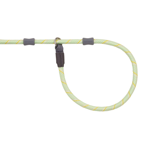 weitere Abbildung Ruffwear Hundeleine Just-a-Cinch Leash Moss Green
