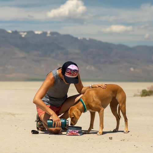 weitere Abbildung Ruffwear Hundenapf Artist Series Quencher Bowl Alvord Desert