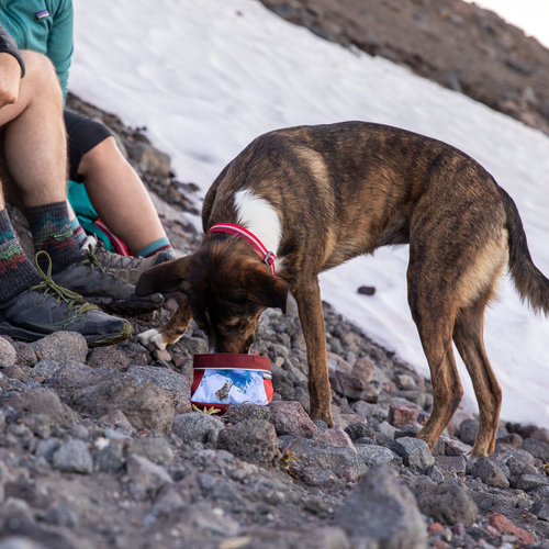 weitere Abbildung Ruffwear Hundenapf Artist Series Quencher Bowl Mount Bailey
