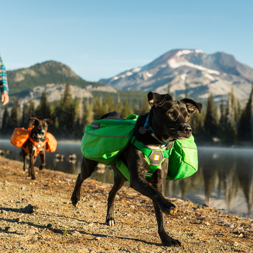 weitere Abbildung Ruffwear Hunderucksack Approach Pack Meadow Green