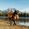 Ruffwear Hunderucksack Approach Pack™ Orange Poppy Abbildung 5