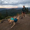 Ruffwear Hunderucksack Front Range™ Day Pack Blue Moon Abbildung 4