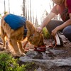 Ruffwear Hunderucksack Front Range™ Day Pack Blue Moon Abbildung 5