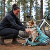 Ruffwear Hunderucksack Hitch Hiker Dog Backpack Carrier River Rock Green Abbildung 4