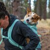 Ruffwear Hunderucksack Hitch Hiker Dog Backpack Carrier River Rock Green Abbildung 5