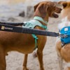 Ruffwear Koppel Double Track™ Coupler Basalt Gray Abbildung 3