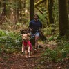Ruffwear Regenjacke Sun Shower™ Jacket Hibiscus Pink Abbildung 5