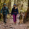 Ruffwear Regenjacke Sun Shower™ Jacket Midnight Blue Abbildung 4