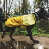 Ruffwear Regenjacke Sun Shower™ Jacket Mineral Yellow Abbildung 4
