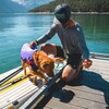 Ruffwear Schwimmweste Float Coat Life Jacket Purple Lily Abbildung 5