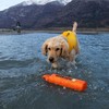 Ruffwear Schwimmweste Float Coat™ Wave Orange Abbildung 5