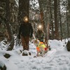 Ruffwear Sicherheitsweste Lumenglow™ Hi-Viz Jacket Blaze Orange Abbildung 4