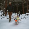 Ruffwear Sicherheitsweste Lumenglow™ Hi-Viz Jacket Blaze Orange Abbildung 5