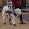 Ruffwear Sicherheitsweste Lumenglow™ Hi-Viz Jacket Granite Gray Abbildung 4
