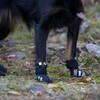Rukka Pets Hundeschuhe Step Shoes schwarz Abbildung 2