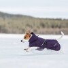 Rukka Pets Jacke Trust Folienmantel plum Abbildung 3
