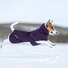 Rukka Pets Jacke Trust Folienmantel plum Abbildung 4