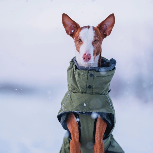 weitere Abbildung Rukka Pets Jacke Warmup 2.0 olive